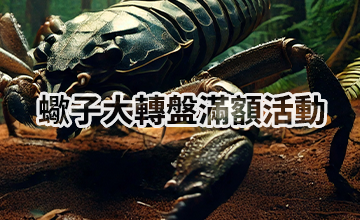 【04/02】蠍子大轉盤滿額活動